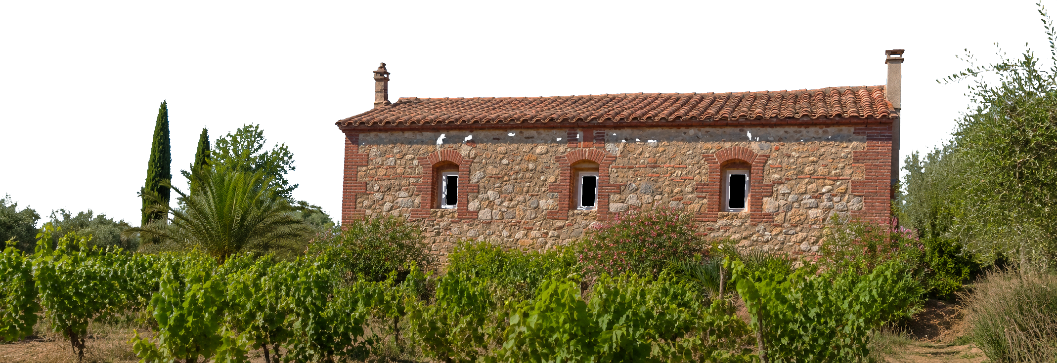 photo exterieure détourée des gites vu des vignes