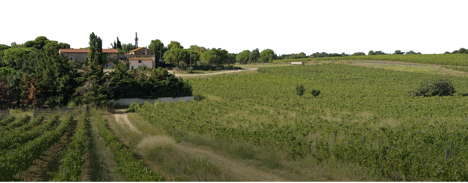 Titre photo du domaine du Château de Rey